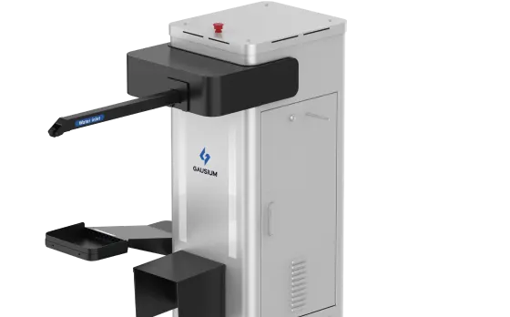 WS-02